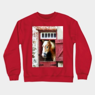 Horses - Palomino by Barn Door Crewneck Sweatshirt